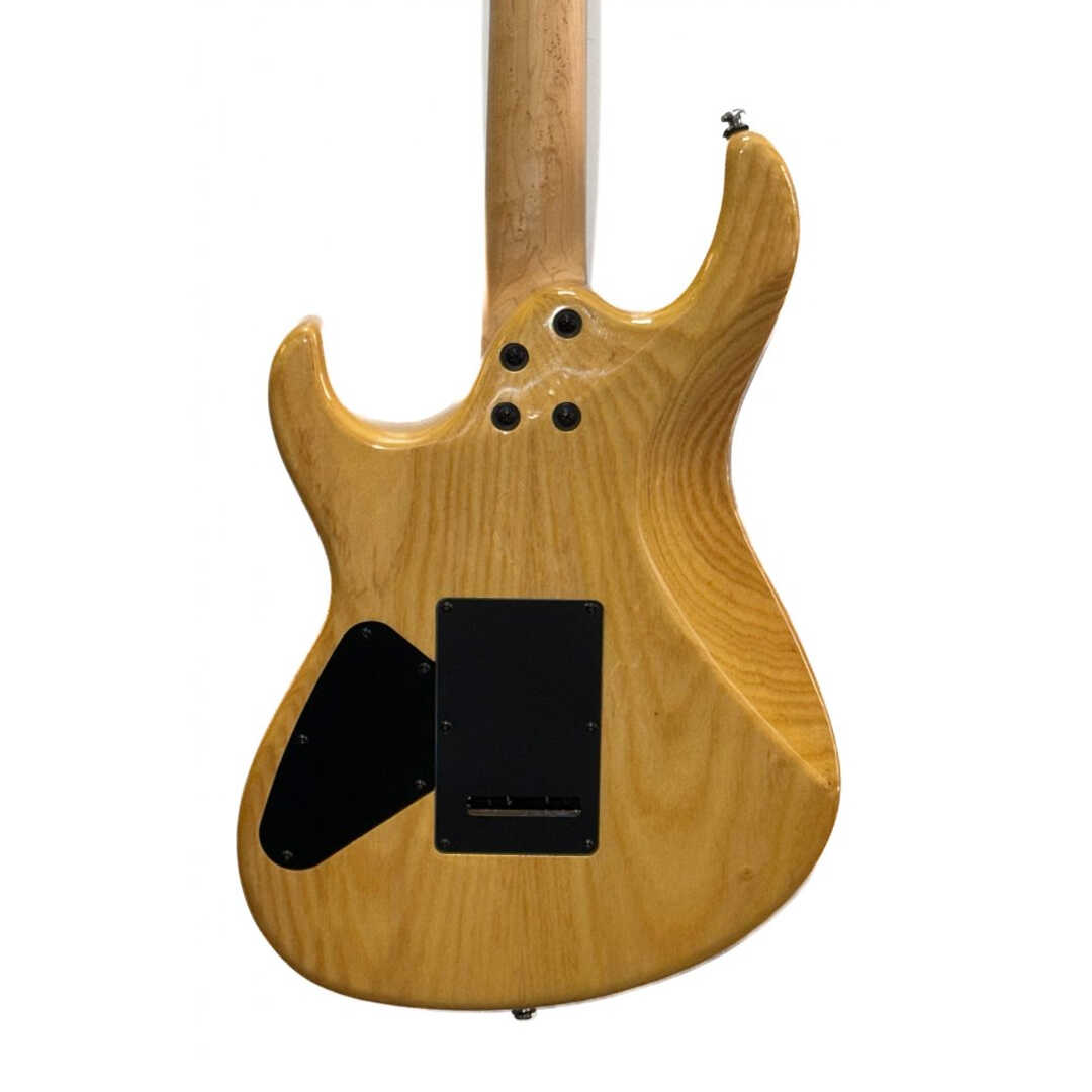 Cort G290 FAT Electric Guitar Blue